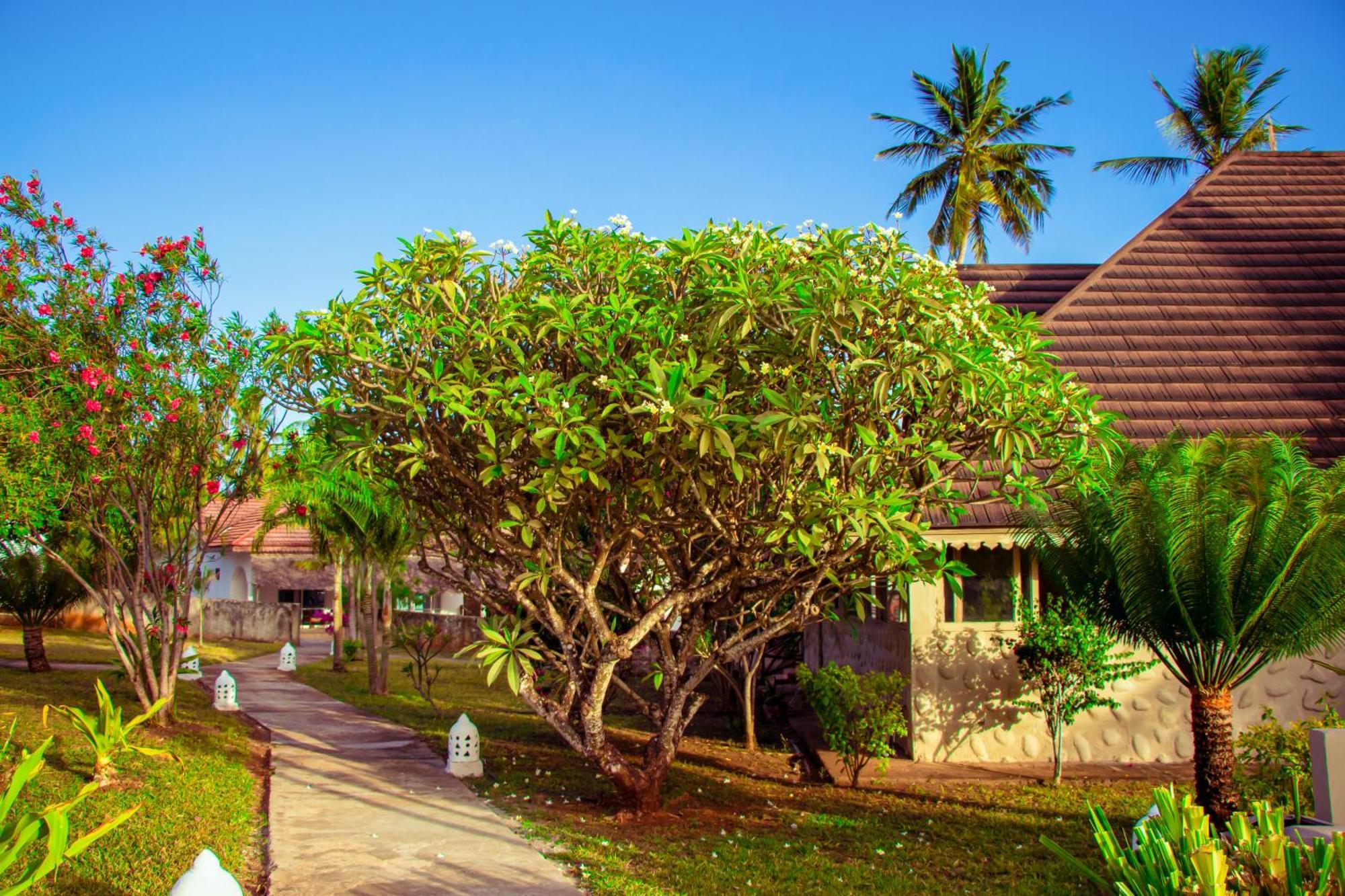 Mandarin Resort Zanzibar Kizimkazi Exterior photo